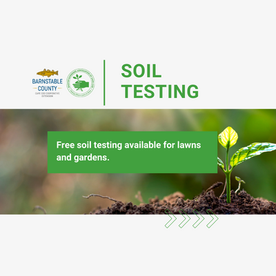 How and why to test your soil on Cape Cod.