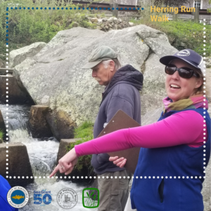 Woods Hole Oceanographic Institution Sea Grant Extension Marine Specialist, Abigail Archer, joined Brewster Conservation Trust and 13 herring fans on a walk through the Stony Brook herring run.