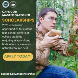 Cape Cod Master Gardener Scholarship for 2023.
