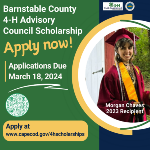Announcing the Barnstable County 4-H 2024 Advisory Council Scholarship!❤️📚 The application is open now and closes on March 18, 2024. Click the following link for info and application www.capecod.gov/4hscholarships. Best of luck to all of our Barnstable County 4-H seniors!