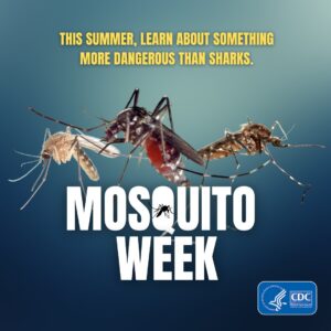The #1 deadliest animal in the world is...NOT A GREAT WHITE SHARK! It's the tiny, pesky, completely unglamorous MOSQUITO. Learn how to protect yourself and your family here.