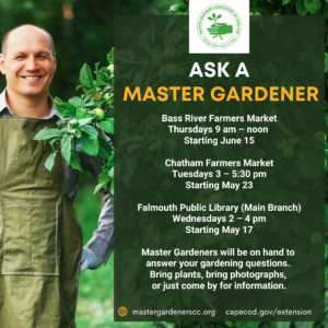 Find the Cape Cod Master Gardeners at the Bass Rivers Farmers Market, Chatham Farmers Market and Falmouth Public Library this summer. Ask them questions or bring plants/ photos to discuss.