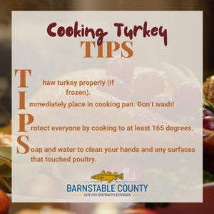 Cooking turkey tips- cook safely this Thanksgiving.
