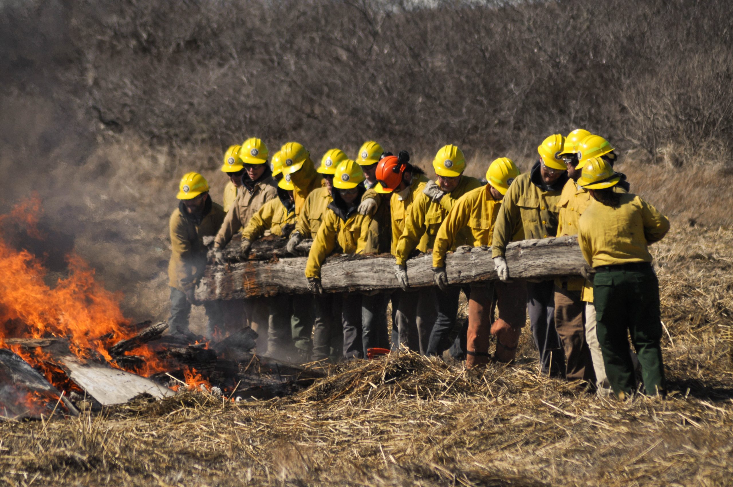 firefighters lifting a tree away from a fire