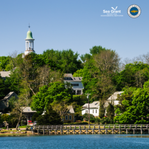 Image of coastal properties in Wellfleet that could benefit from coastal design guidelines.