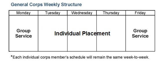 Individual Placement Weekly Diagram