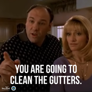 Image of Tony and Carmela Soprano, looking disappointed. Text reads, "You are going to clean the gutters".