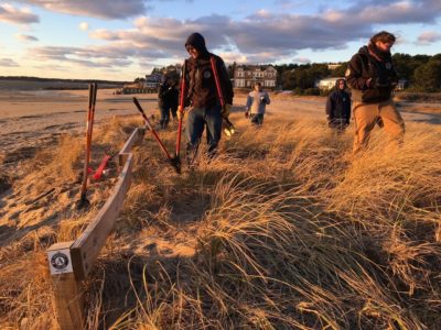 cleaning up the shoreline