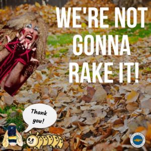 Don't Rake The Leaves