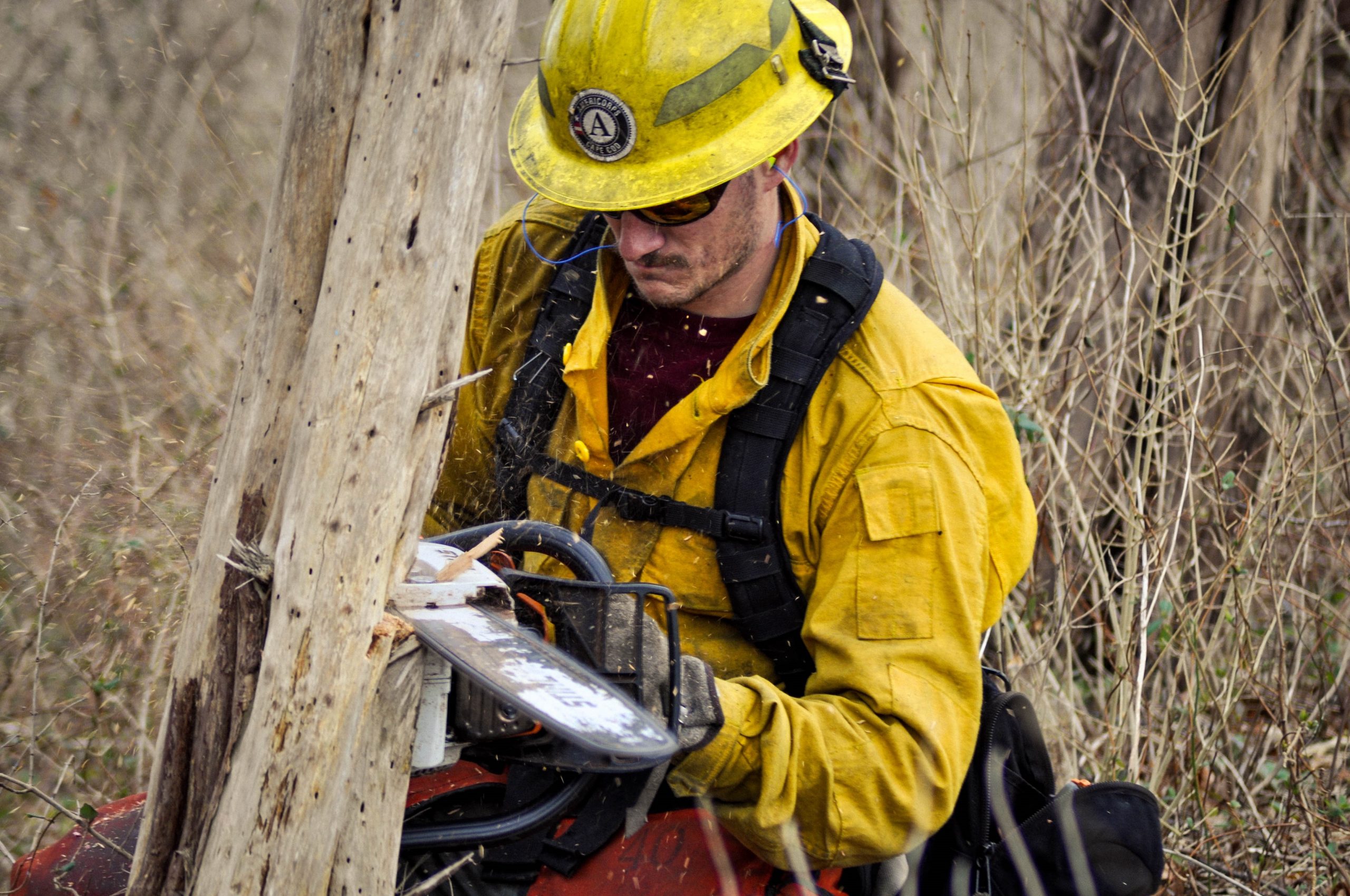 firefighter with chainsaw on tree