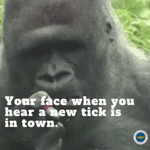 Gorilla making a surprised face with text, "your face when you hear a new tick is in town".