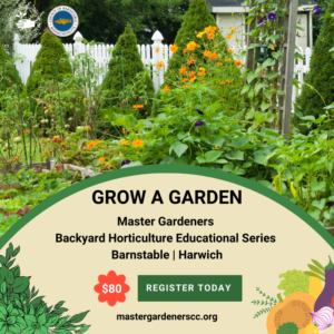 Learn to grow a garden with the Master Gardner Backyard Horticulture Workshop series. Click here.