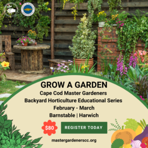 A vibrant backyard garden scene featuring a wooden table and chairs surrounded by lush greenery, colorful flowers, and potted plants. The text overlay reads: "GROW A GARDEN. Cape Cod Master Gardeners. Backyard Horticulture Educational Series. February - March. Barnstable | Harwich." The registration fee is highlighted as "$80," with a green "REGISTER TODAY" button and the website "mastergardenerscc.org."