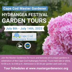 Cape Cod Master Gardener Hydrangea Festival Tour for 2023.