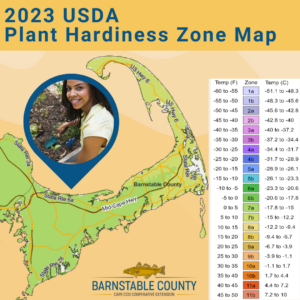 Image of Cape Cod section of the new 2023 USDA Plant Hardiness Zone Map.