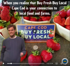 Buy Fresh Buy Local Cape Cod- Your Source for Local Food and Farms this summer.