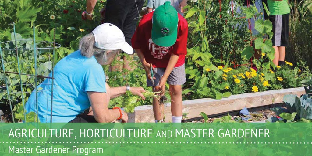 People working in Vegetable Garden