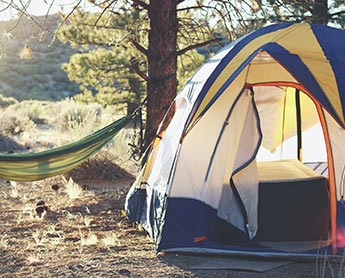Tent and hammock