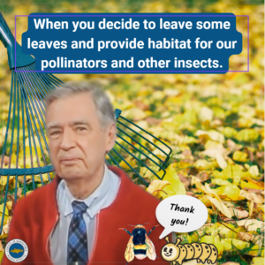 LEAF it alone! Just a friendly reminder that our important pollinators (like bees) hibernate in the leaves for winter. If we rake leaves now, we risk killing many insects in the process.