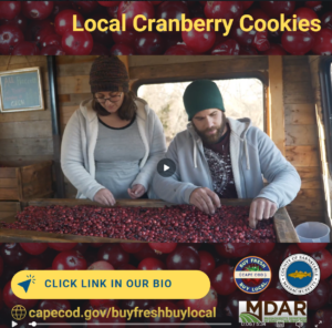 Find video and recipe for local Cape Cod cranberry cookies.