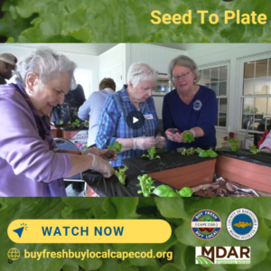 Cape Cod Cooperative Extension's Seed to Plate Program: How to Grow, Cook, and Access Local Food.