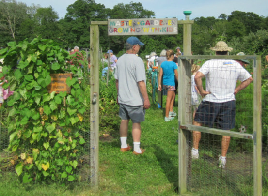 People in vegetable garden