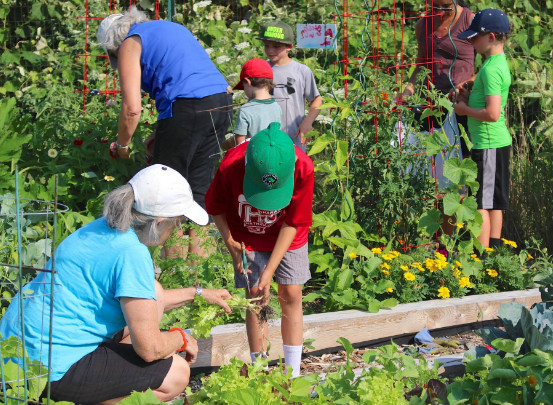 Young boy working in a garden