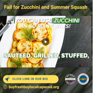 Fall for zucchini and summer squash. They are versatile veggies that can be eaten as a snack or meal. Kids can help cook these too!