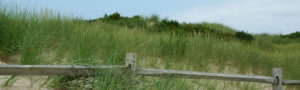 Image Fence post