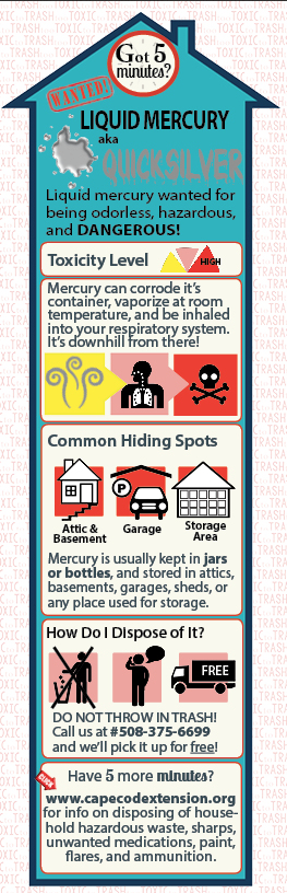 Liquid Mercury infograph
