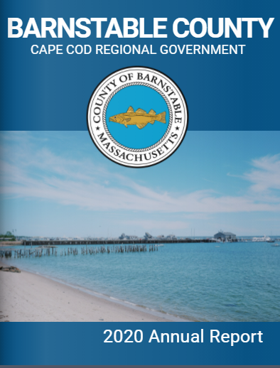 County Annual Reports