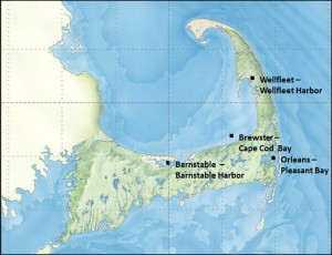 shellfish habitat assessment