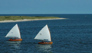 Sailboats | Barnstable County Health & Human Services