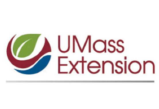 UMass Logo