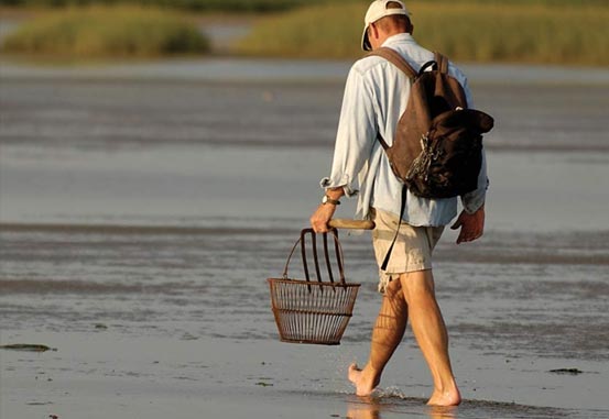 Man walking on beach collecting shellfish