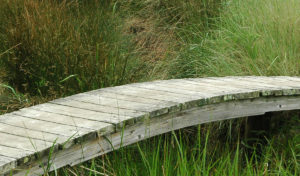 Cape Cod foot bridge