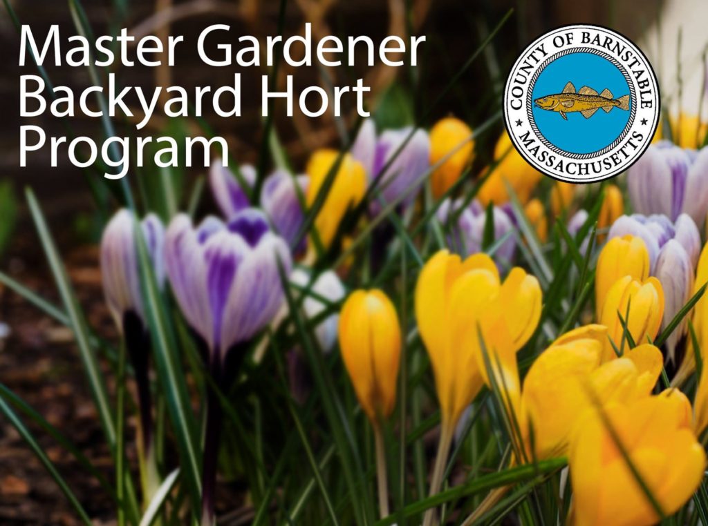 CCEXT Hort Program banner