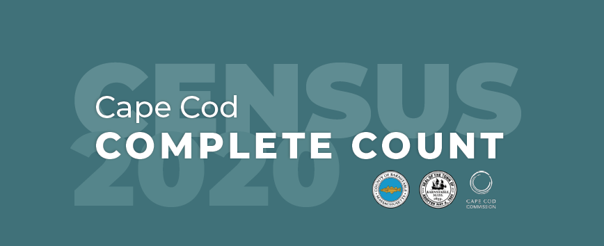 census 2020 banner