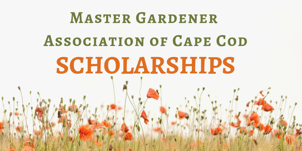 Master Gardener Assoc of Cape Cod Offers Scholarships