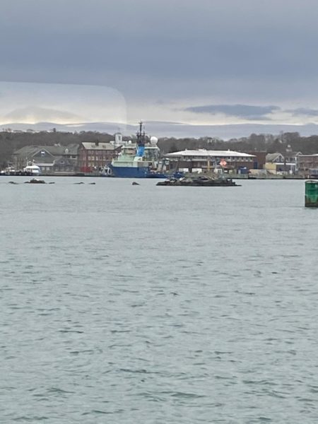 Woods Hole