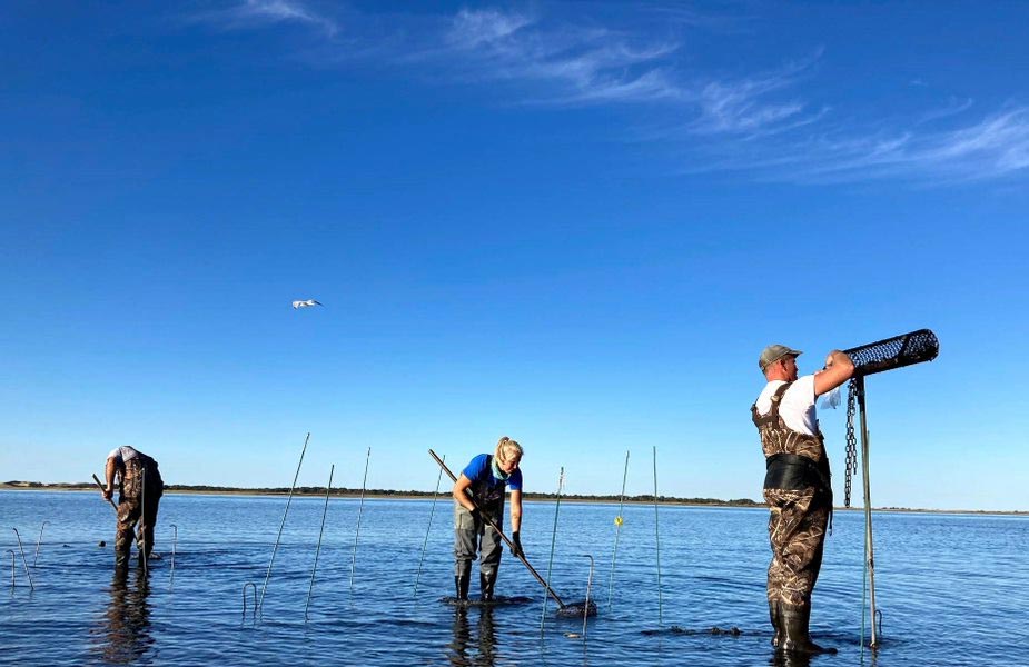 People in shallow water fishing at the beach