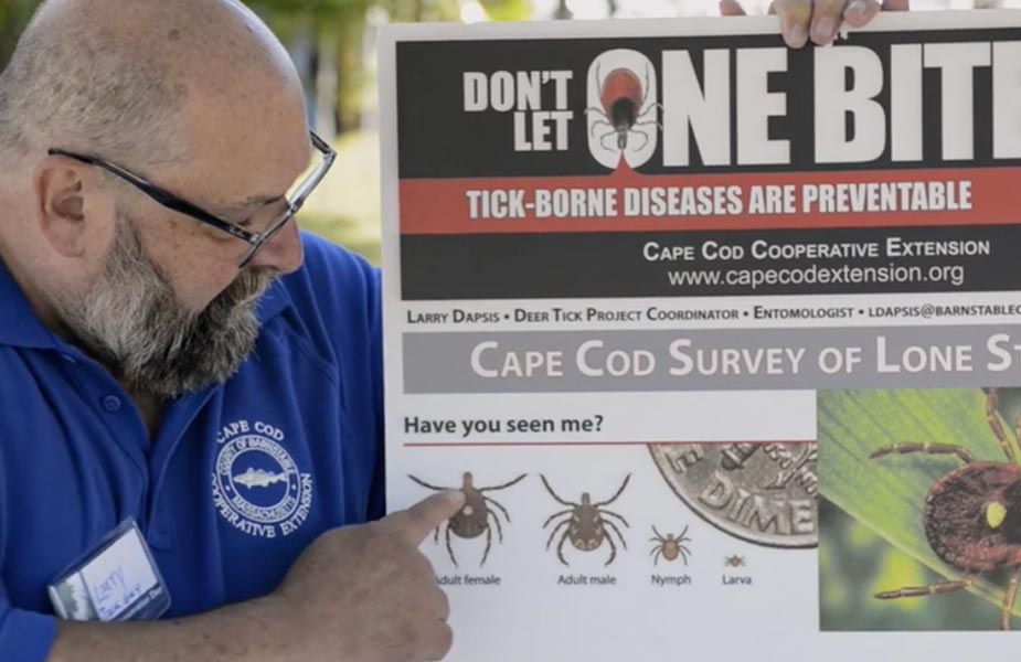 Man holding infograph about ticks