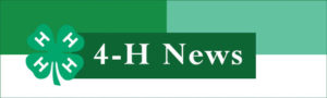 4-H newsletter and events from UMass.