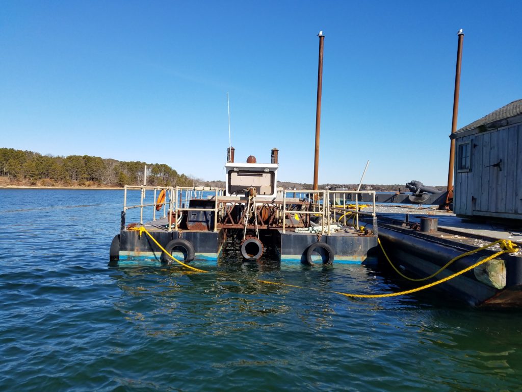 Cod Fish I tied to the barge