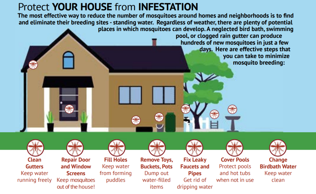Protect your house from mosquito infestation by cleaning gutters, repairing door and window screens, fill holes, remove toys, buckets, and pots, fix leaky faucets and pipes, cover pools, and change birdbath water.