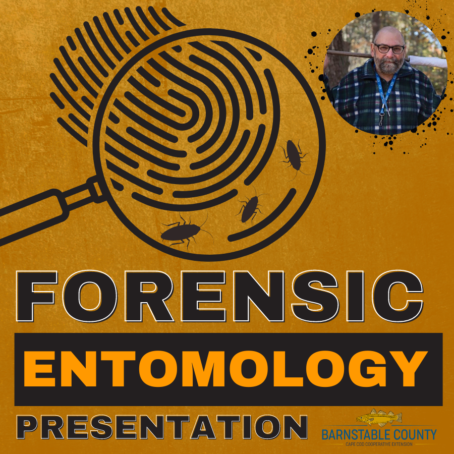 Forensic Entomology: Using bugs to solve crimes