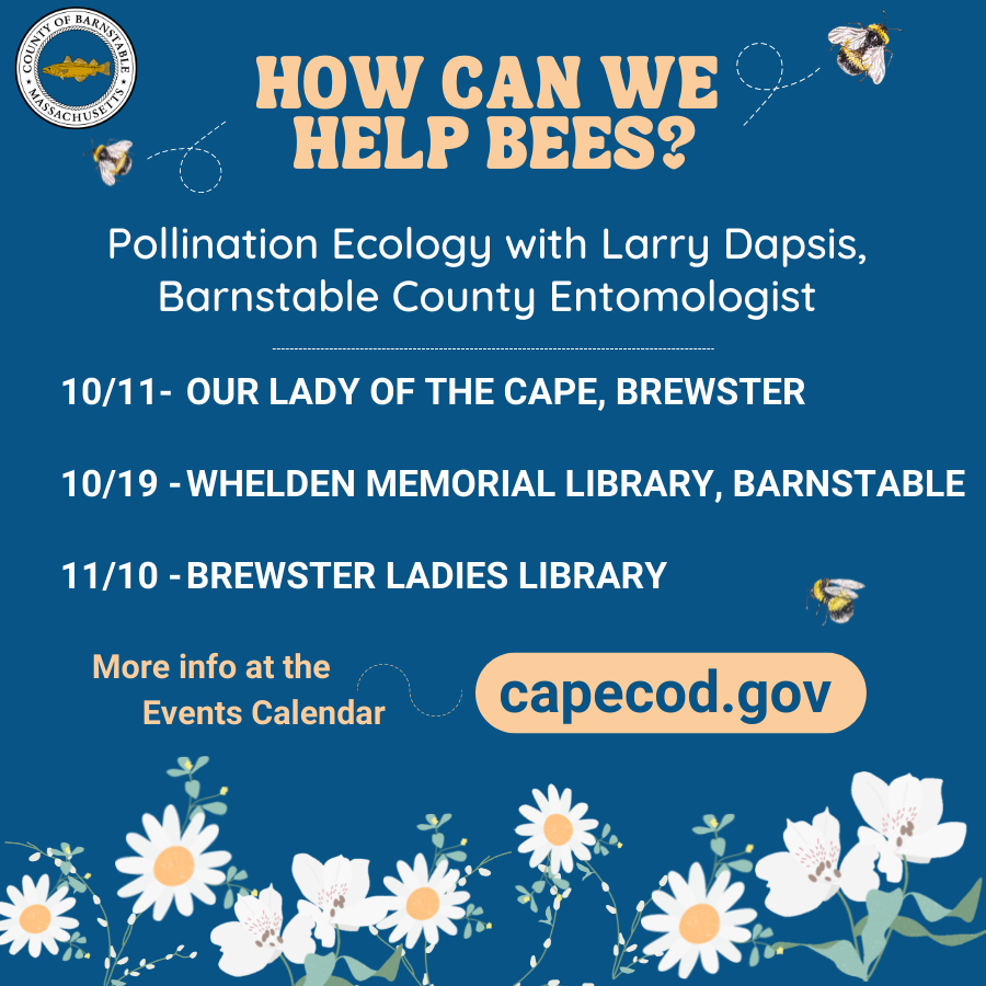 Pollination Ecology – How Can We Help Bees? Honeybees, both locally and nationally have been suffering catastrophic losses. This program will review honeybee biology and the factors responsible for this problem. In addition, we will review the state of wild pollinators like bumble bees and the things residents can do to help them. Many of the fruits and vegetables we eat require pollination. The current situation with murder hornet in the US will be discussed.