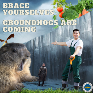 Brace yourselves, groundhogs are coming for your garden.