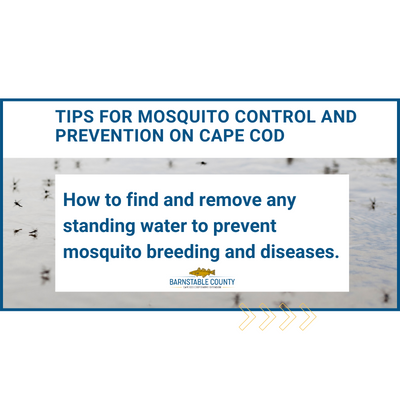 Blog on controlling mosquitoes around your home and yard.