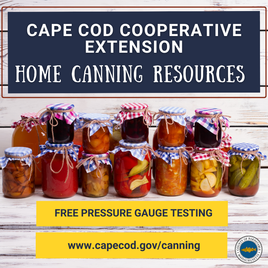 Extension's home canning resources include free pressure canner gauge testing.